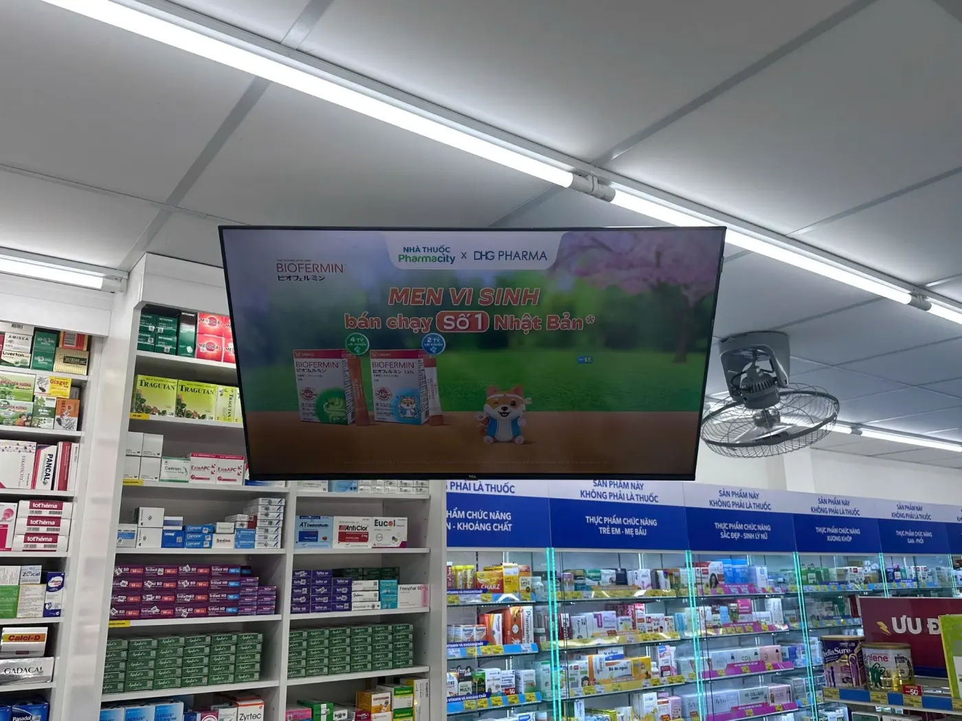 Màn hình phát quảng cáo men vi sinh phía trên kệ thuốc tại Pharmacity